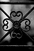 Wall_Art_Alphabet_Photography_Art_ 1660